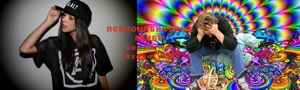 первитин Пересвет