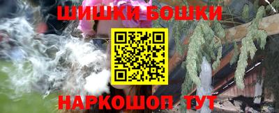 индика Сосновоборск