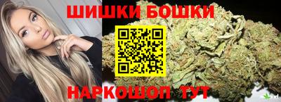 индика Сосновоборск